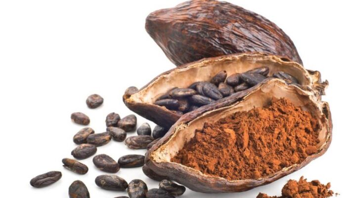 Socola được sản xuất như thế nào từ hạt cacao?