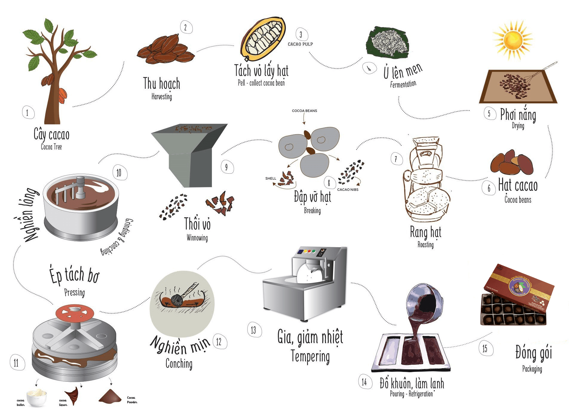 Quy trình sản xuất socola